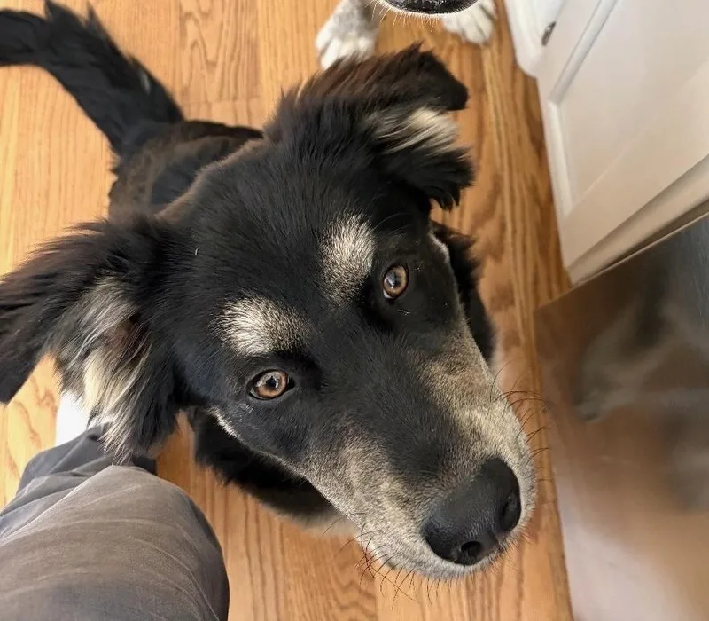 Famous Frida thumbnail 2