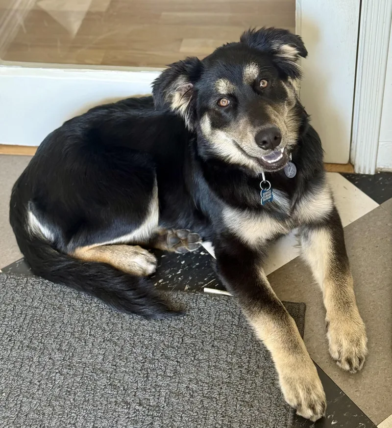 Famous Frida thumbnail 3