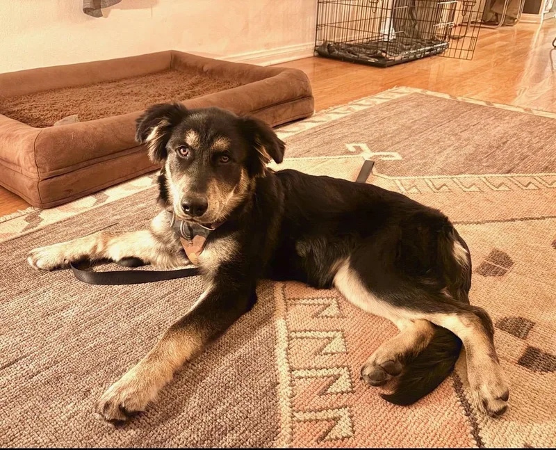 Famous Frida thumbnail 4