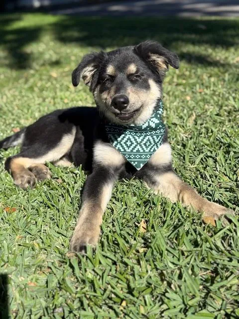 Famous Frida thumbnail 5