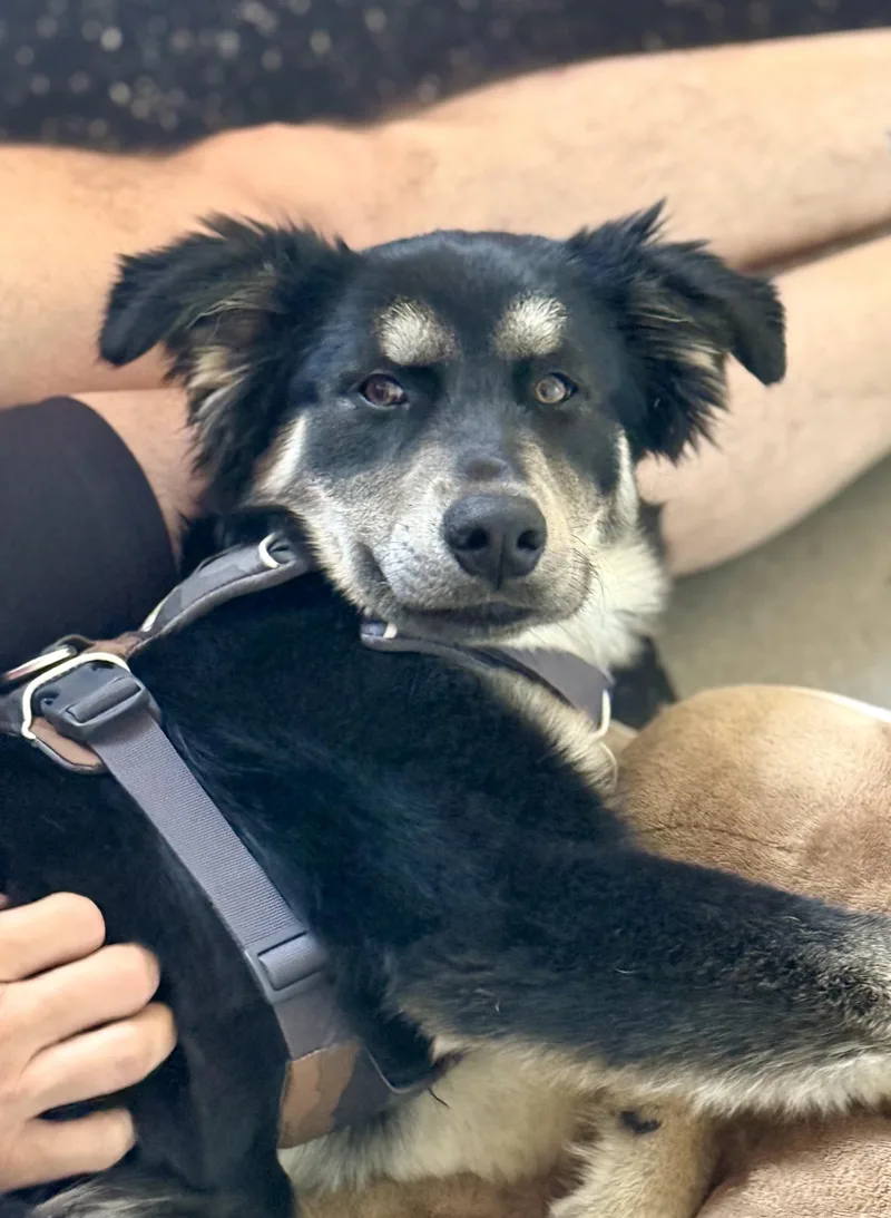 Famous Frida thumbnail 6