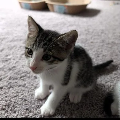 Tucker & Sky thumbnail 3