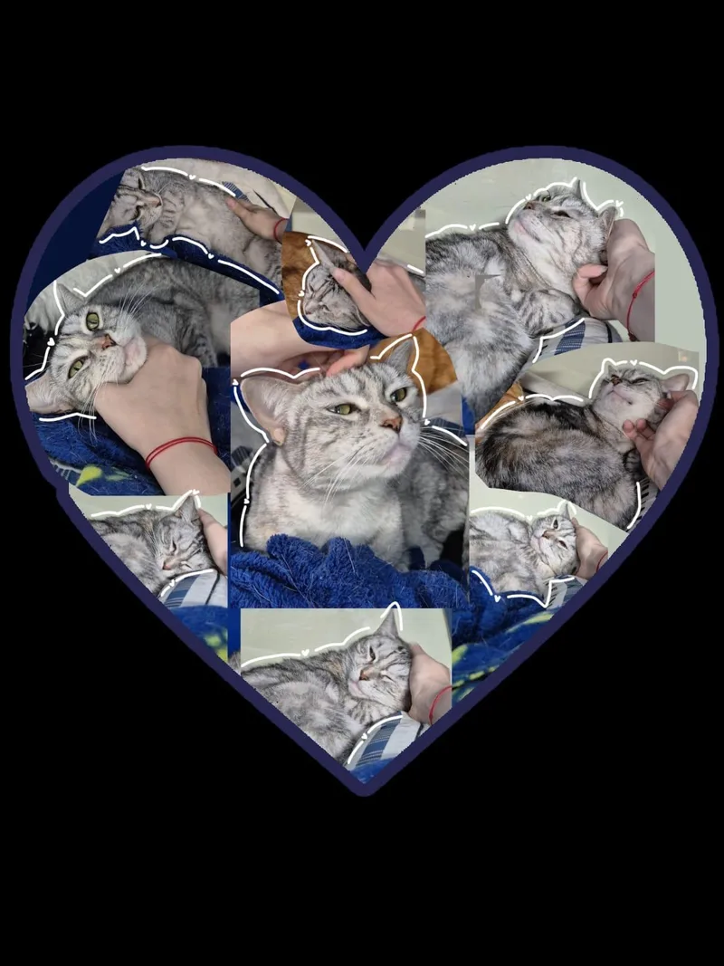 Foxy Lady thumbnail 2