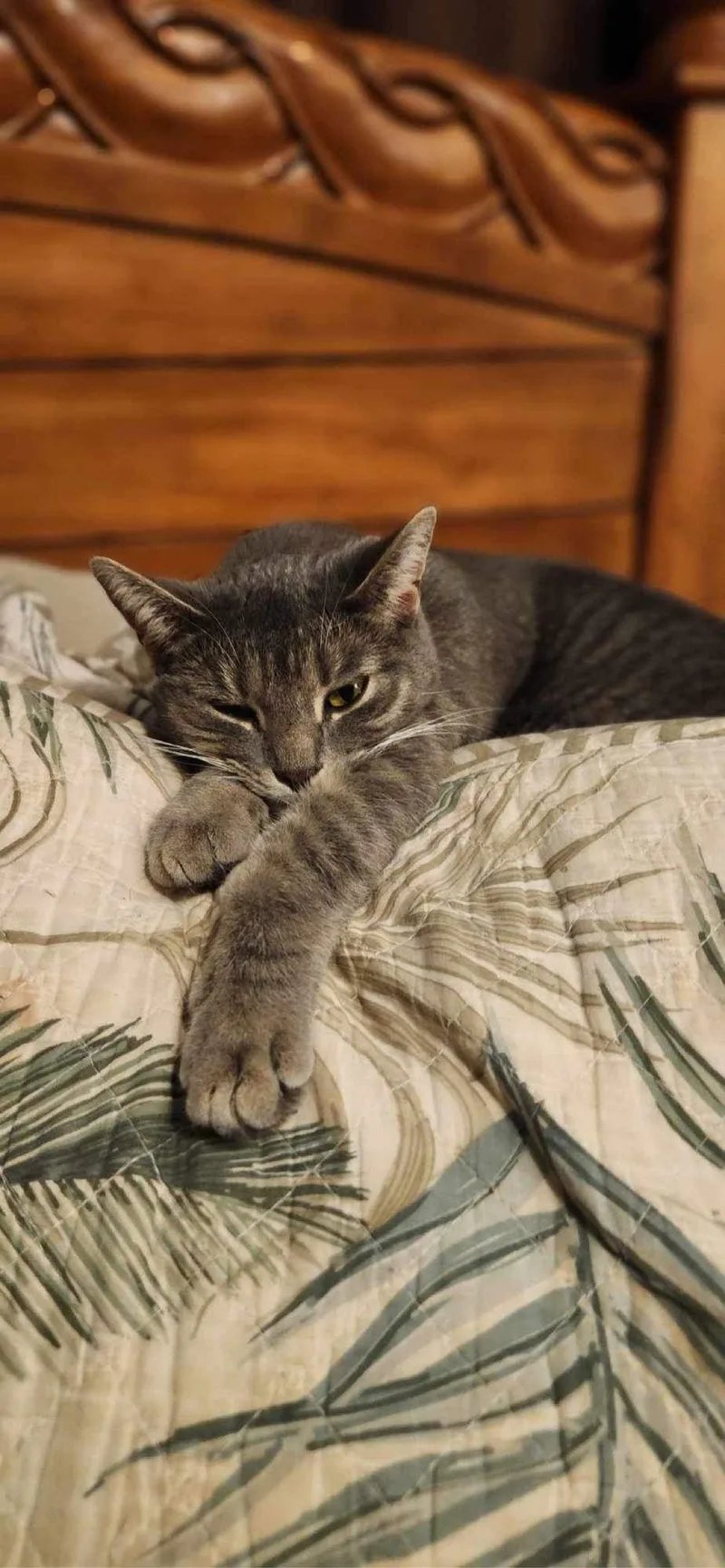 Mink  Ad thumbnail 2