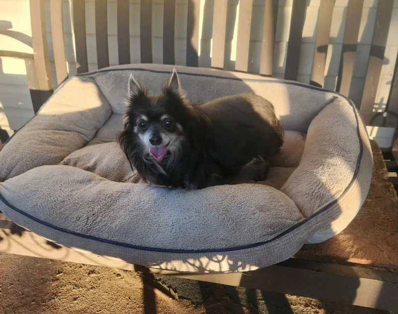 William Gatlin thumbnail 2