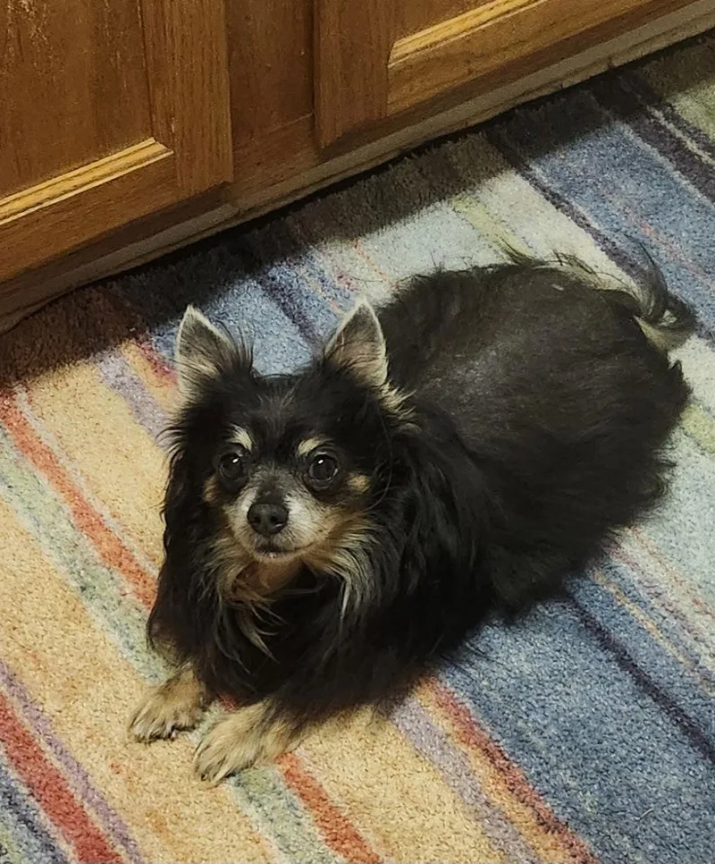 William Gatlin thumbnail 3