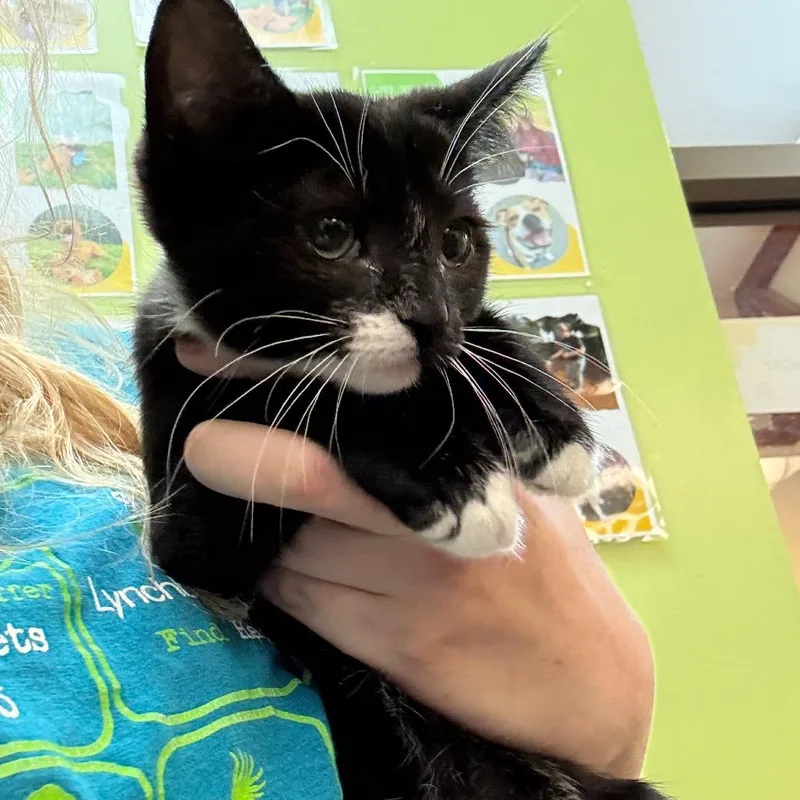 Laura thumbnail 4