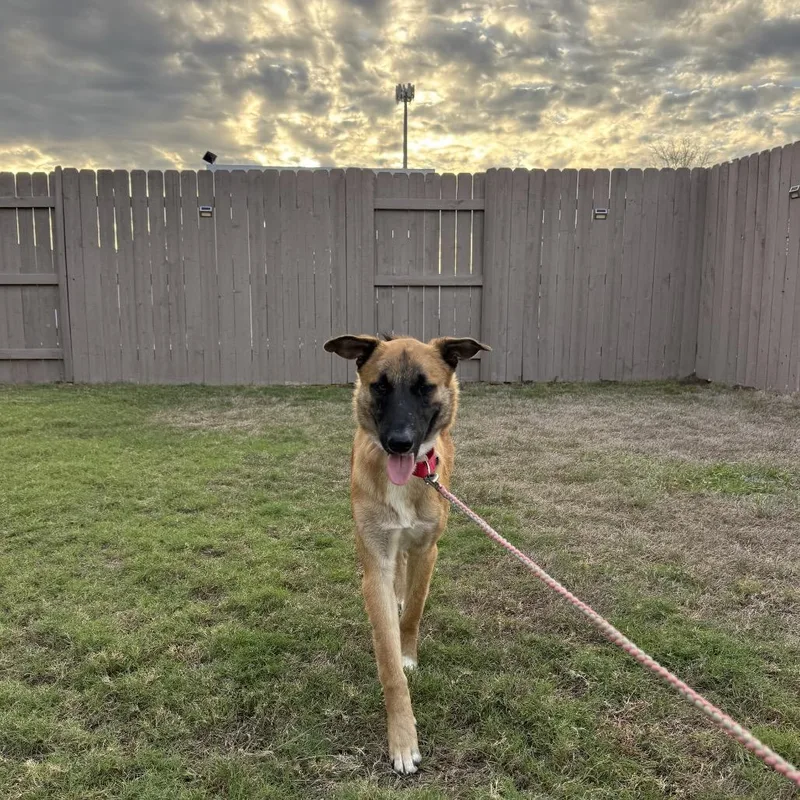 Lucky Penny thumbnail 2