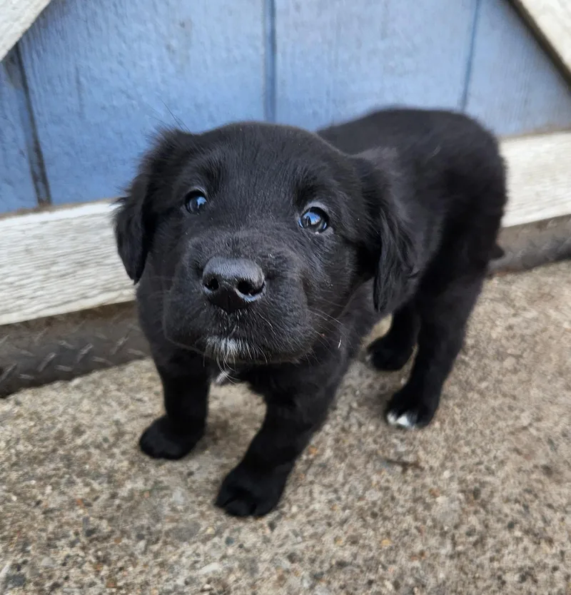 Sailboat thumbnail 2