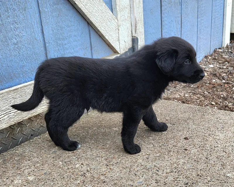 Sailboat thumbnail 3