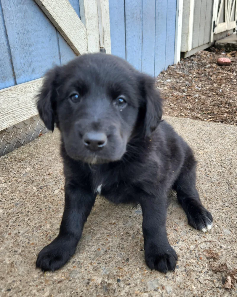 Sailboat thumbnail 4