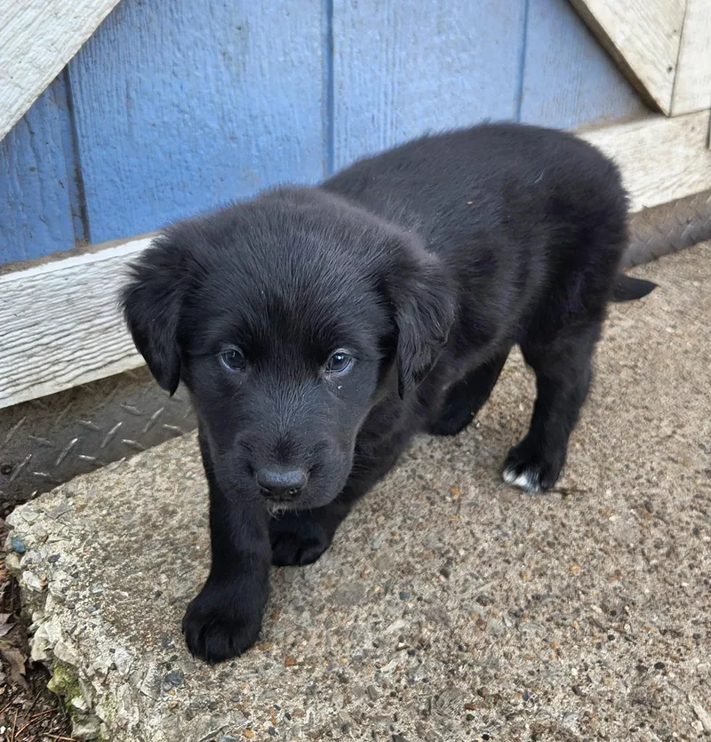 Sailboat thumbnail 6