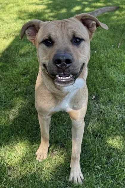 Quicksand thumbnail 5