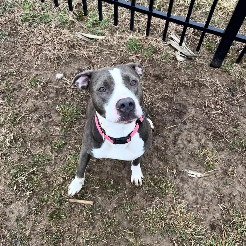 Zora  Prison Training thumbnail 2