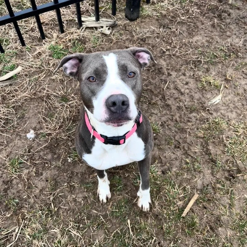 Zora  Prison Training