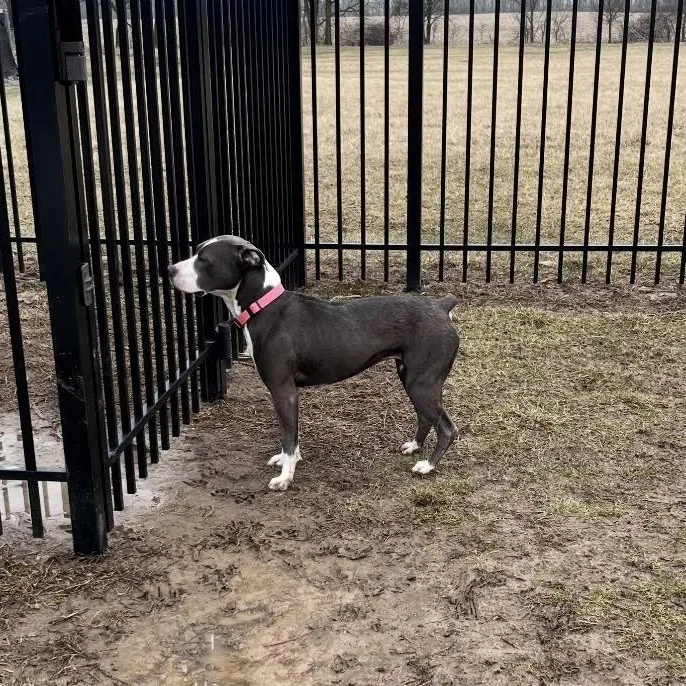 Zora  Prison Training thumbnail 4