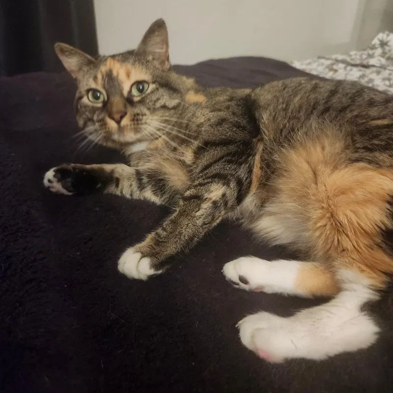 Scarlett fka Ms. Cleo