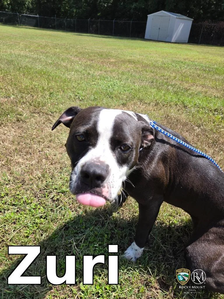 Zuri