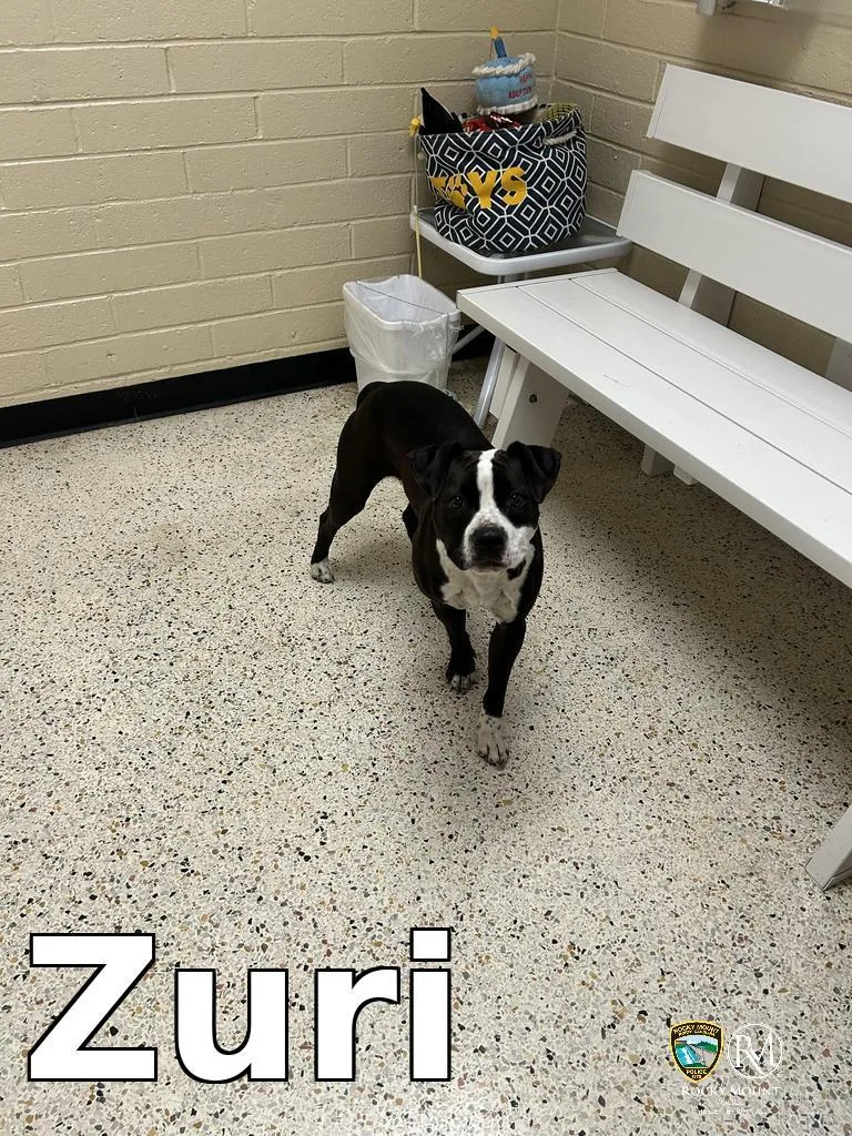 Zuri thumbnail 2