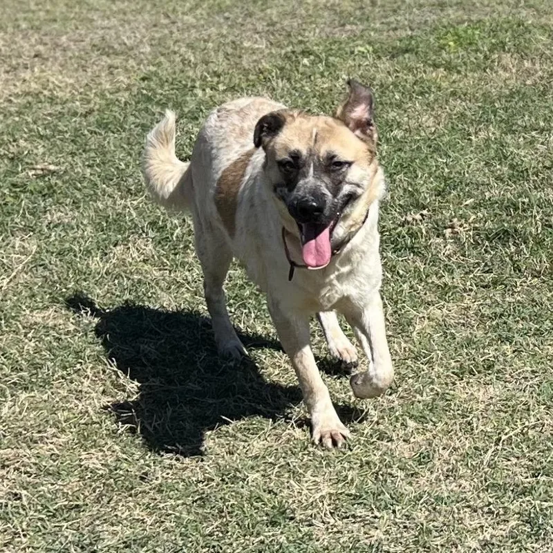 Tropicana thumbnail 2