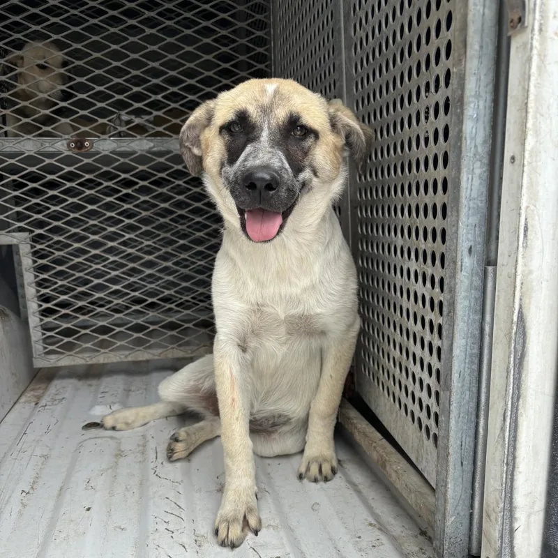 Tropicana thumbnail 3