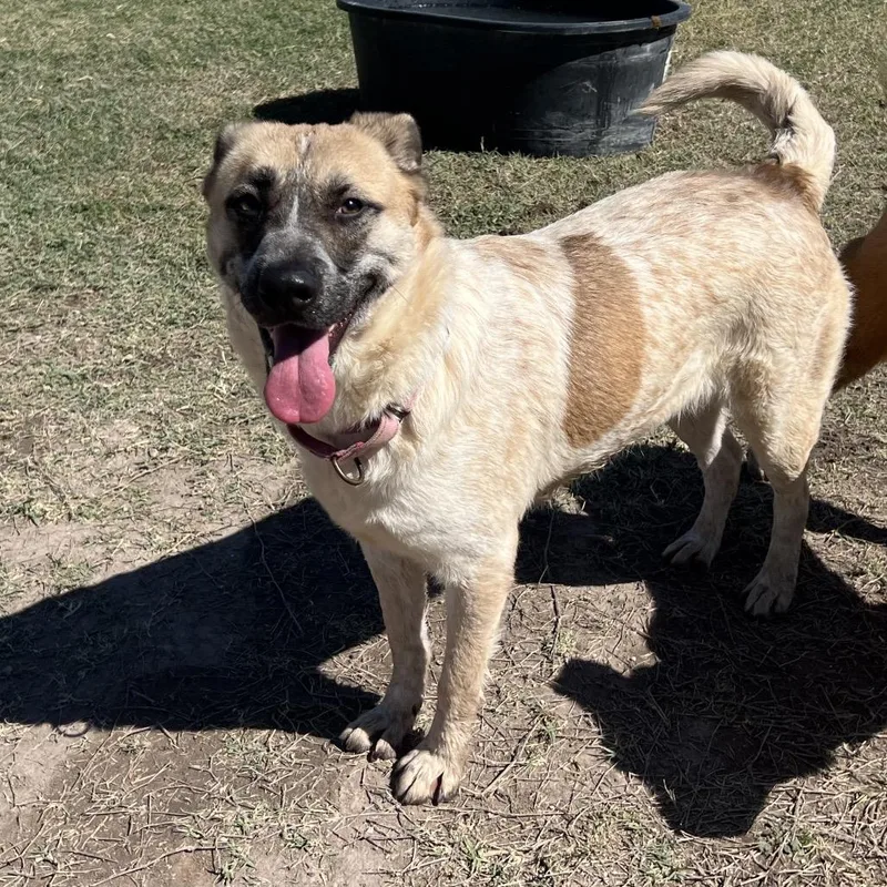 Tropicana thumbnail 4