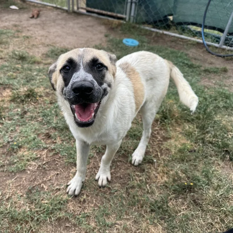 Tropicana thumbnail 5