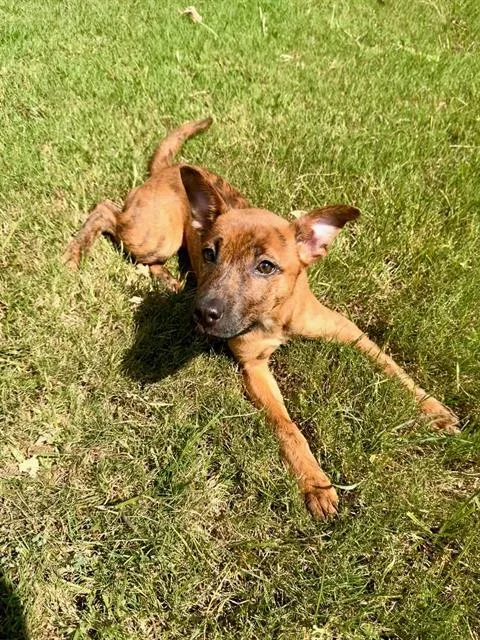 Winnie