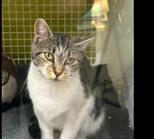 Mackenzie thumbnail 2