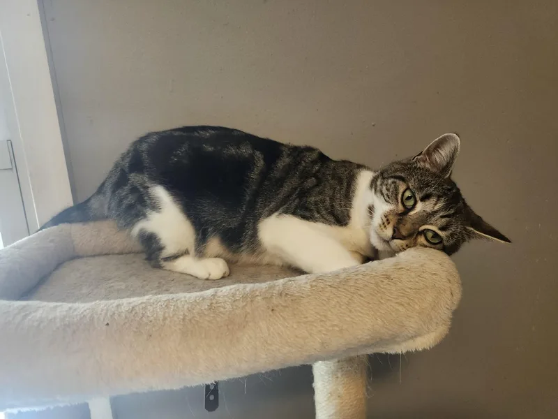 Mackenzie thumbnail 3