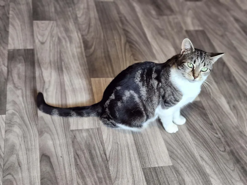 Mackenzie thumbnail 4