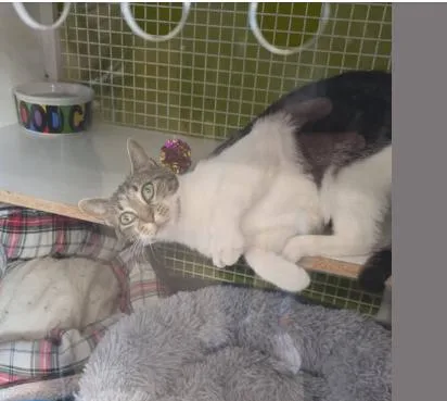 Mackenzie thumbnail 5