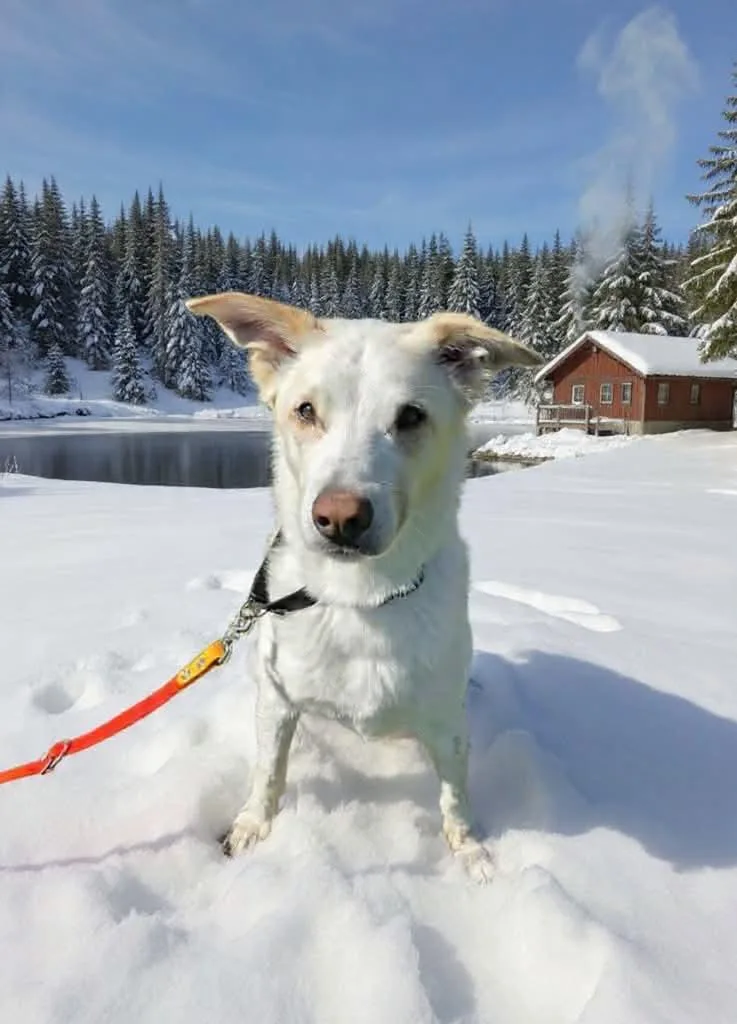Jasper thumbnail 2