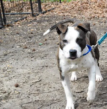 Benjamin thumbnail 2