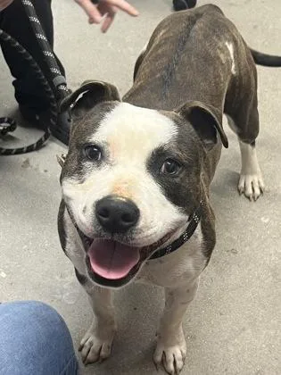 Benjamin thumbnail 3