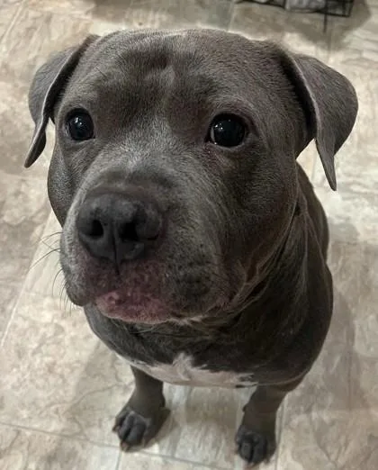 Romeo