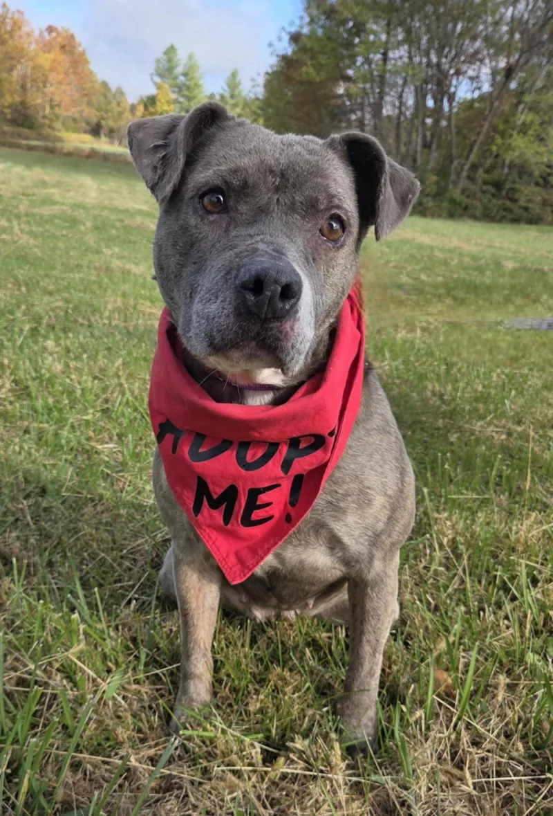 Sophie Sue thumbnail 2