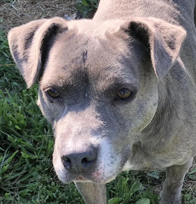 Sophie Sue thumbnail 4