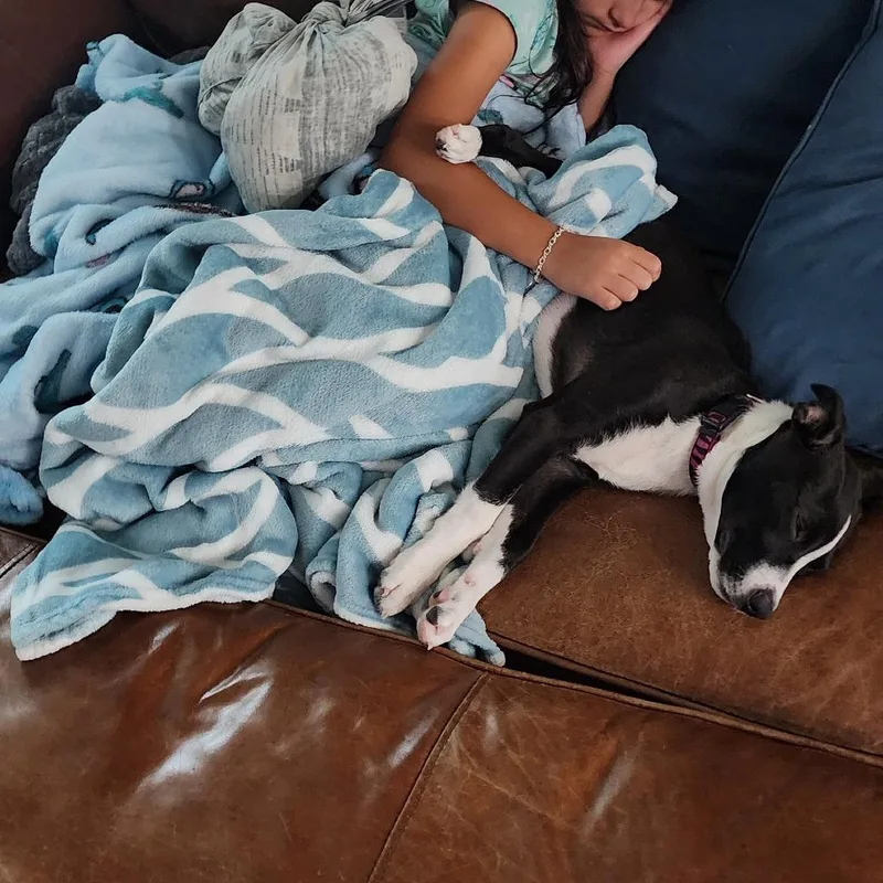 Aunt Chewy thumbnail 5
