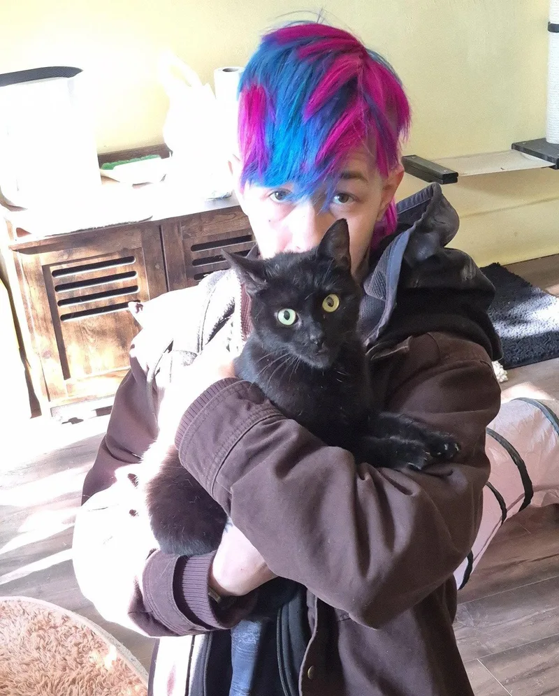 A young medium-sized female Black Domestic Short Hair cat named Madison for adoption in Brook Park, OH