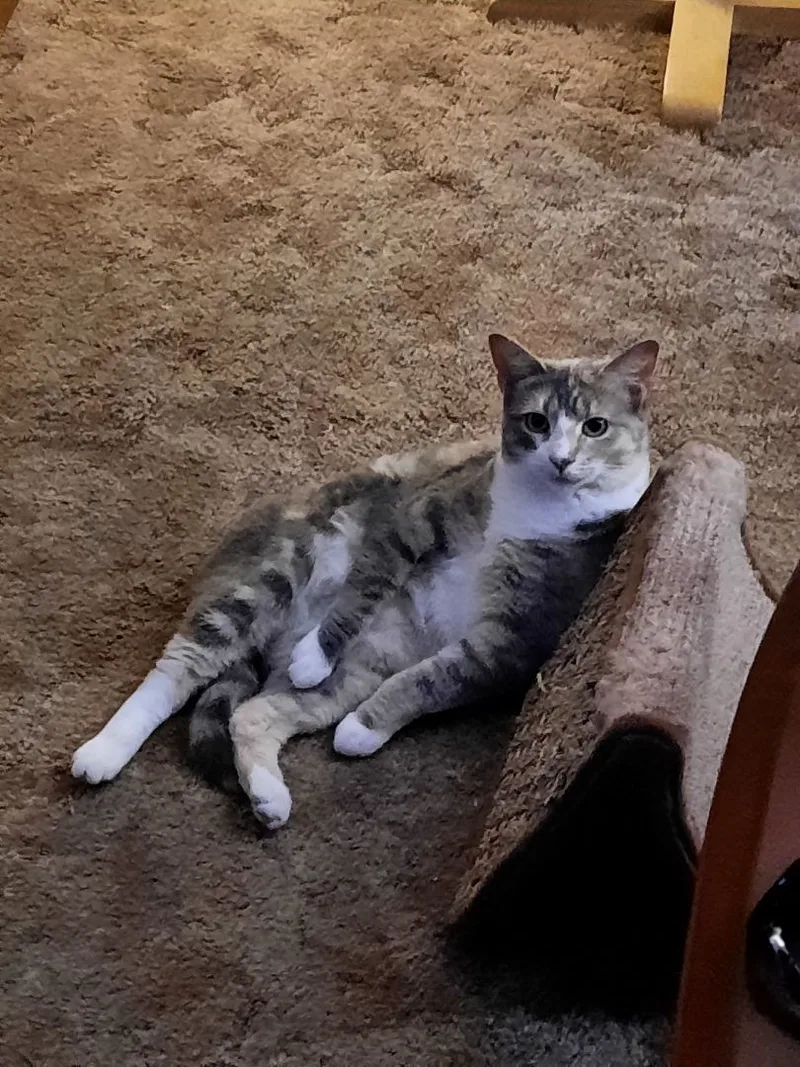 Constance thumbnail 2