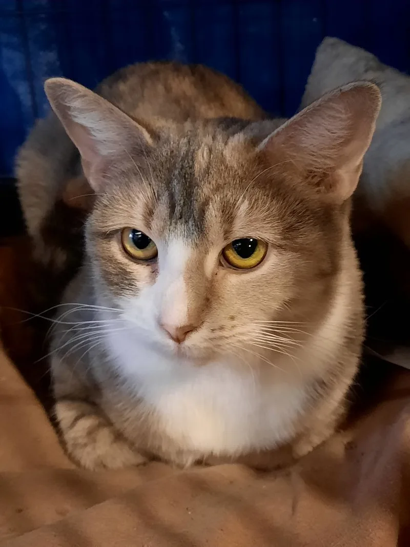 Constance thumbnail 3