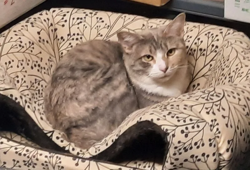 Constance thumbnail 4