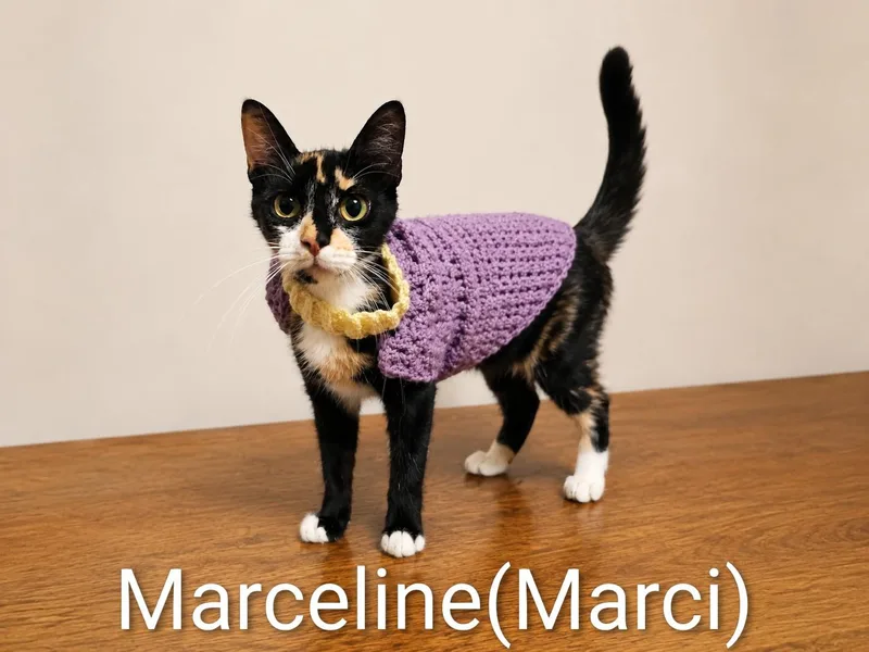 Marceline thumbnail 2