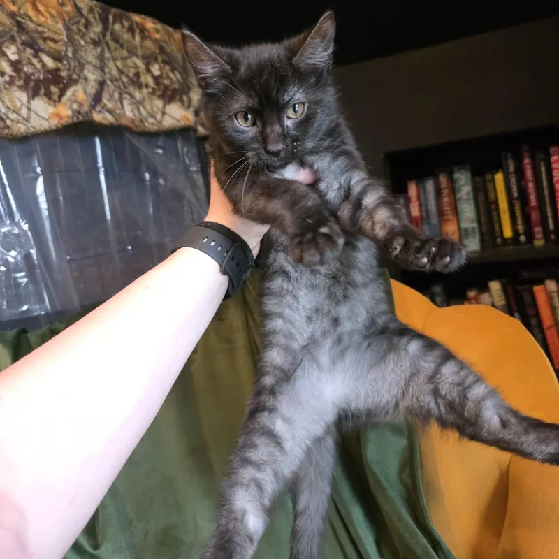 Lazulite "laz" thumbnail 2