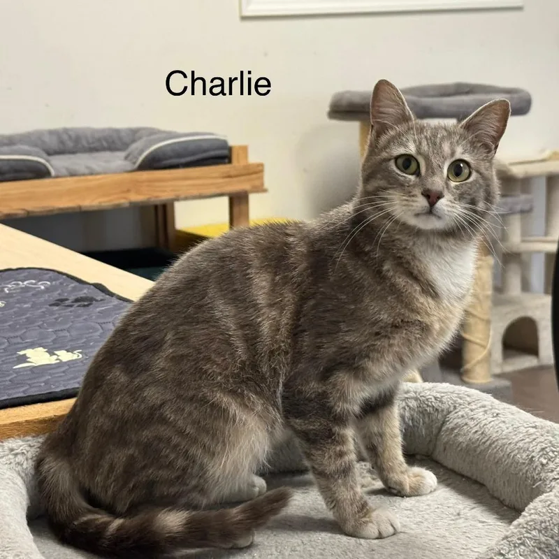 Charlie