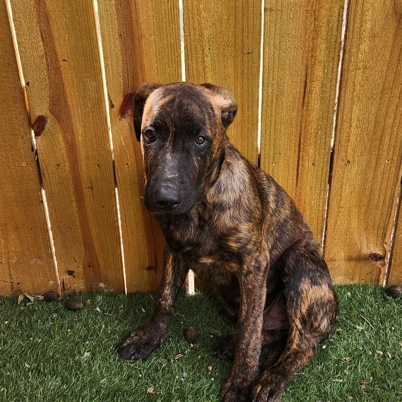 Kyle Jum thumbnail 2