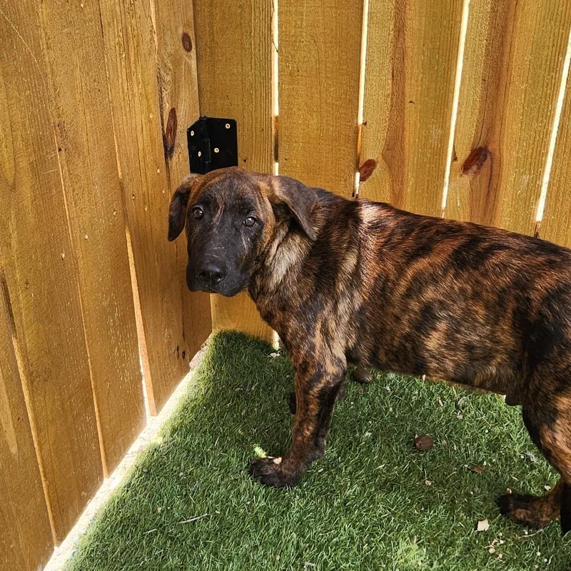 Kyle Jum thumbnail 3