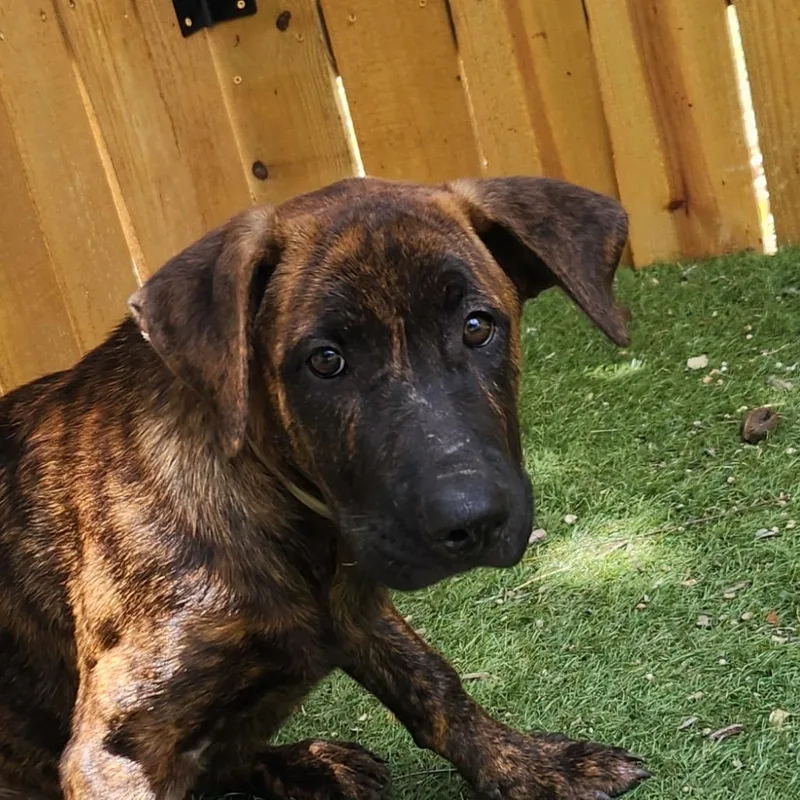 Kyle Jum thumbnail 4