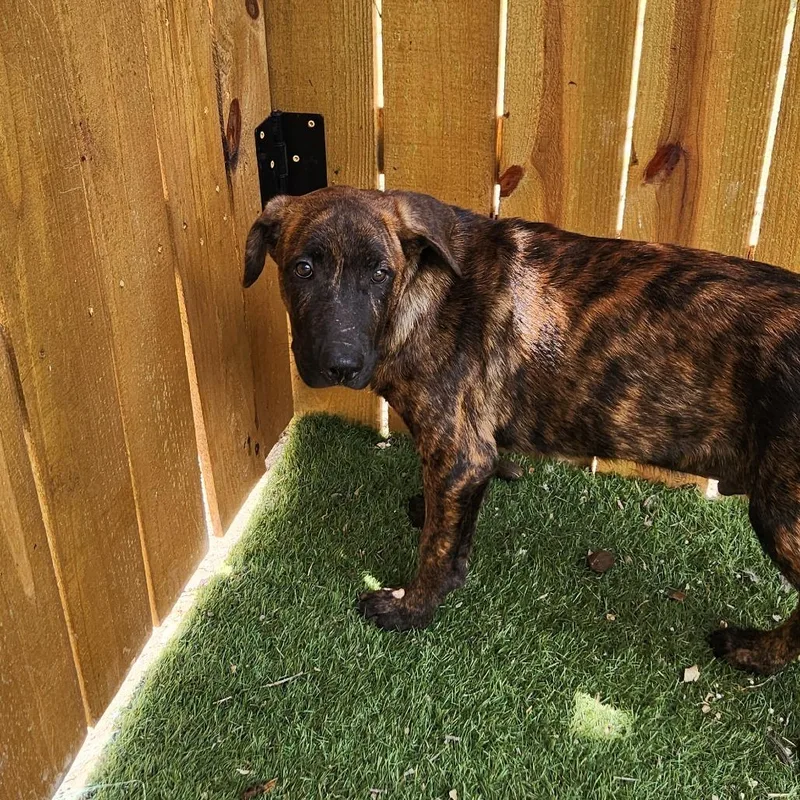 Kyle Jum thumbnail 5